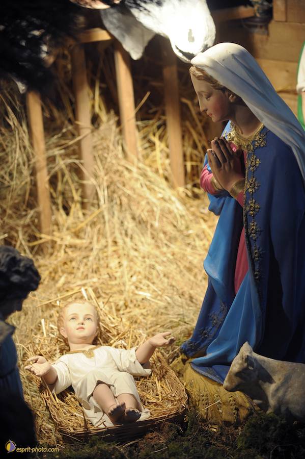 Nom de l'image : D30043051_1_(c)Norbert-JUNG — Description :